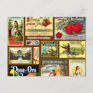 Fruit Label Vintage Postcards