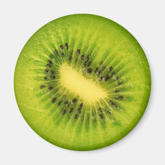 Fruit Magnet Series -Kiwi- (Front)