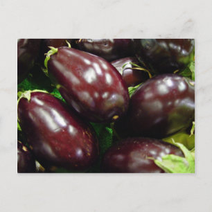 Fruit of eggplants postcard