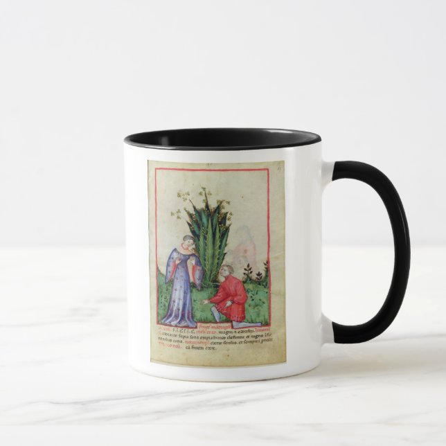Fruit of Mandrake, from' Tacuinum Sanitatis' Mug (Right)