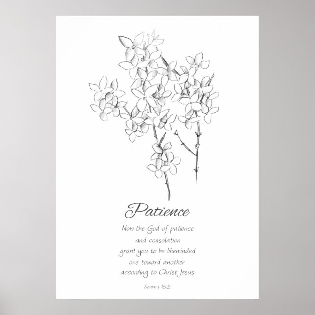 Fruit of the Spirit Patience Galatians 5 22  Poster (Front)