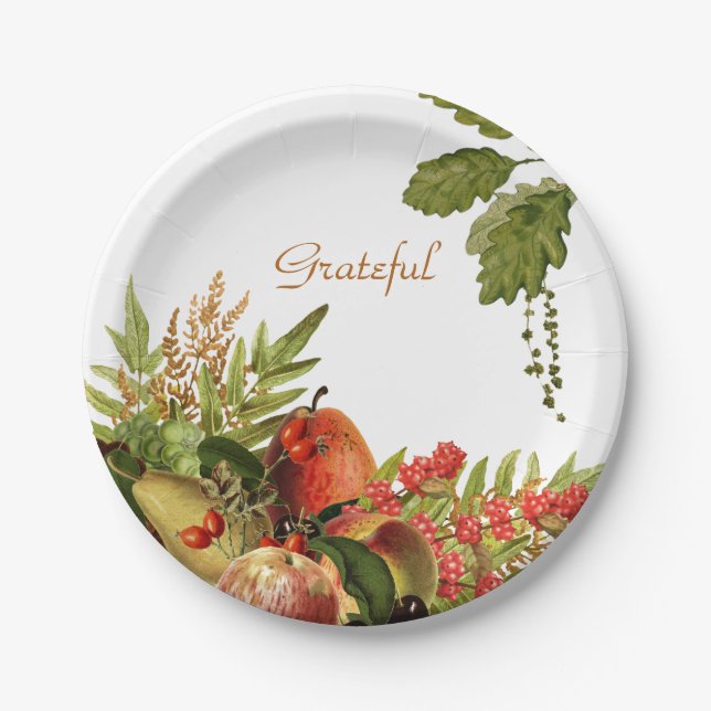 Fruit on Paper Plates (Front)