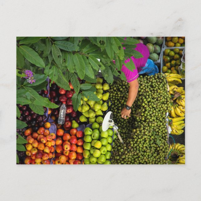 Fruit stand, Medellin, Colombia, 2013 Postcard (Front)