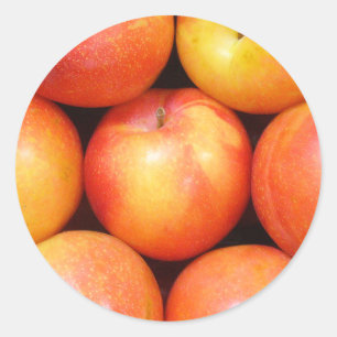 Fruit Stickers 01