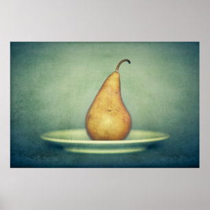 Fruit Study Poster