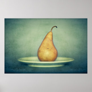 Fruit Study Poster