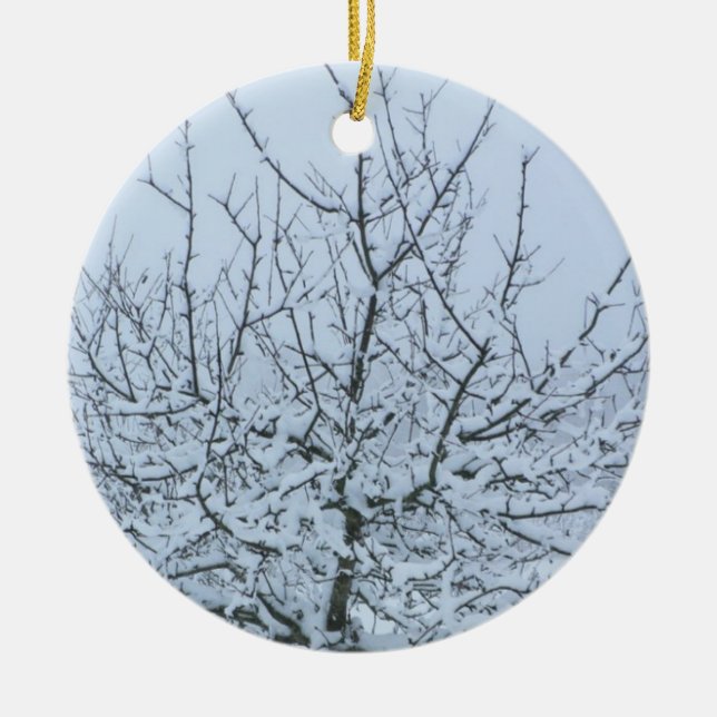 Fruit Tree in Winter Christmas Ornament (Front)
