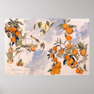 Fruit Trees - Edward Lear Poster