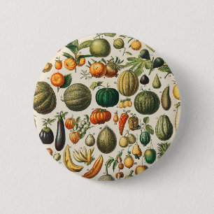 Fruit Vegetable Botanical Scientific Illustration 6 Cm Round Badge