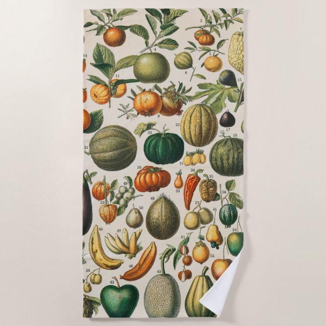 Fruit Vegetable Botanical Scientific Illustration Beach Towel (Front)