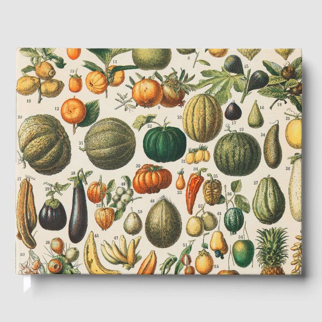 Fruit Vegetable Botanical Scientific Illustration Guest Book (Front)