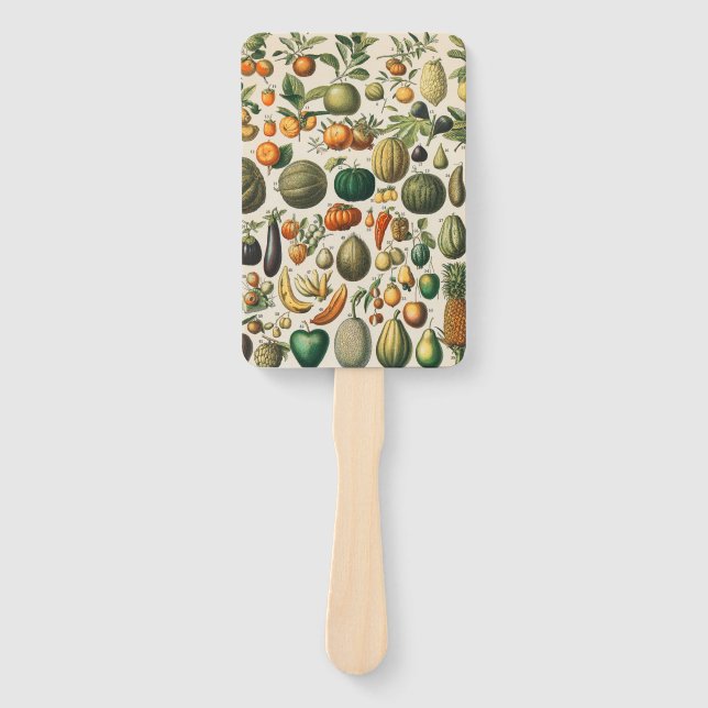 Fruit Vegetable Botanical Scientific Illustration Hand Fan (Front)