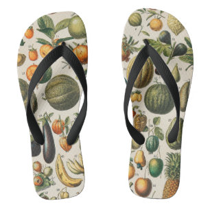 Fruit Vegetable Botanical Scientific Illustration Jandals