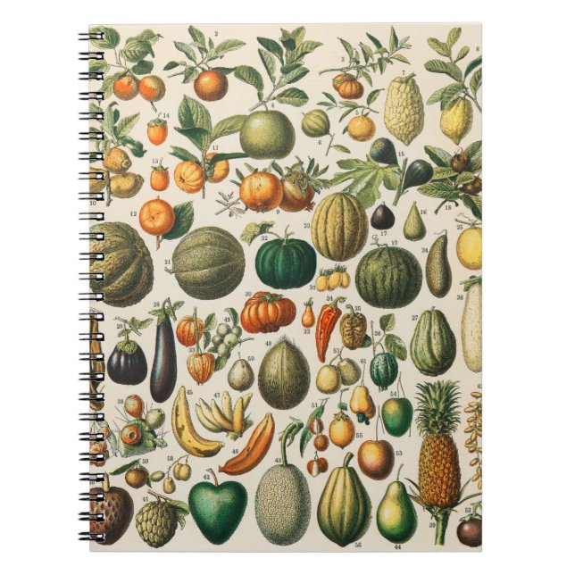 Fruit Vegetable Botanical Scientific Illustration Notebook (Front)