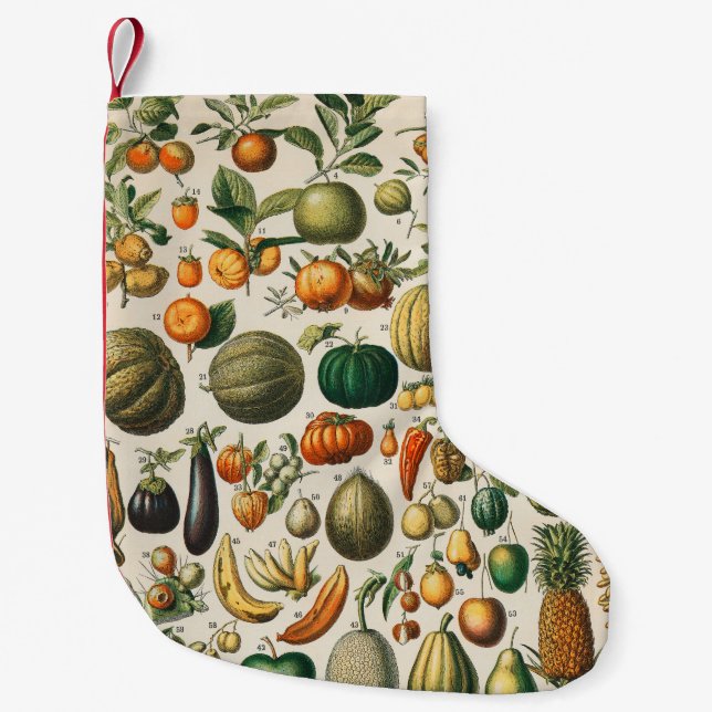 Fruit Vegetable Botanical Scientific Illustration Small Christmas Stocking (Front)