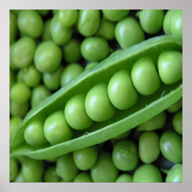 FRUIT VEGETABLES POSTER (Front)