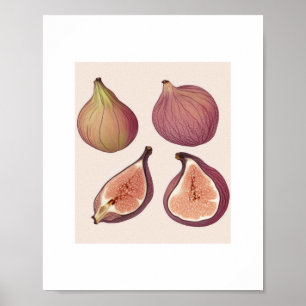 FRUIT WALL ART POSTER