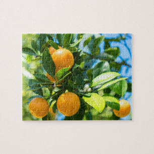 Fruiting Orange Tree Jigsaw Puzzle