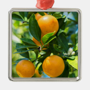 Fruiting Orange Tree Metal Tree Decoration