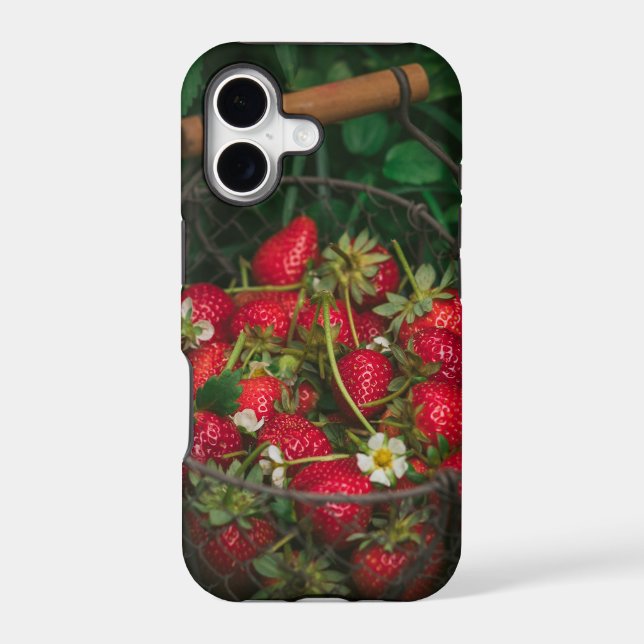 Fruits And Vegetables (Back)