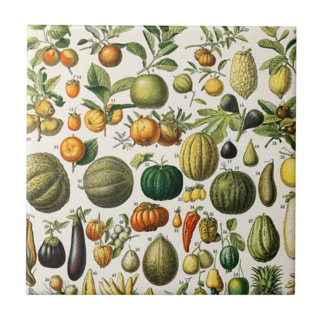 Fruits and Vegetables  Ceramic Tile (Front)