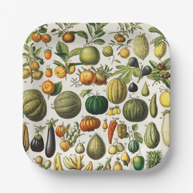 Fruits and Vegetables  Paper Plate (Front)