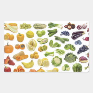 Fruits and Veggies! Rectangular Sticker