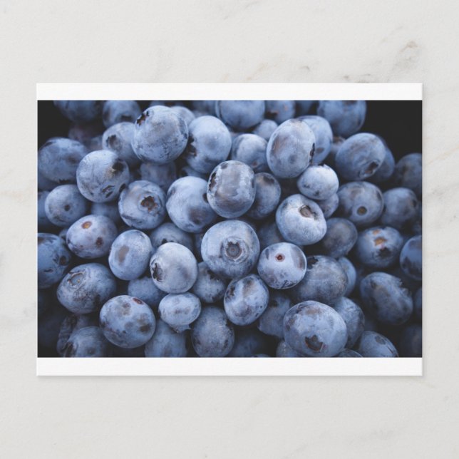 Fruits Blueberries snack fruit berries berry Postcard (Front)