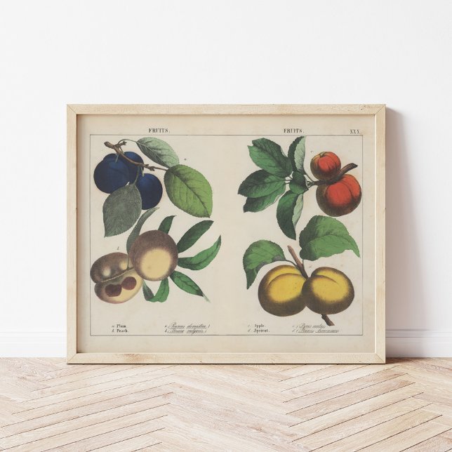 Fruits | Charlotte Mary Yonge Poster (Creator Uploaded)