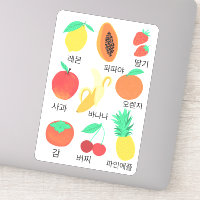 Fruits Flash Cards Korean Fruity Fun Food Art 