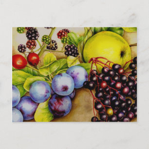 Fruits from the Hedgerow fruity fine art postcard