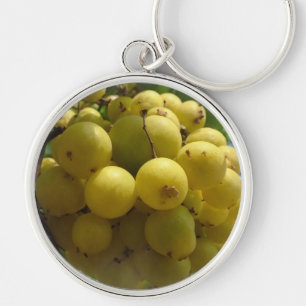 Fruits keychain circle 