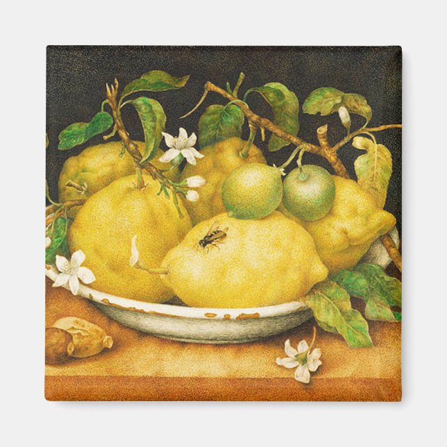 FRUITS. LEMONS AND WHITE FLOWERS MAGNET (Front)
