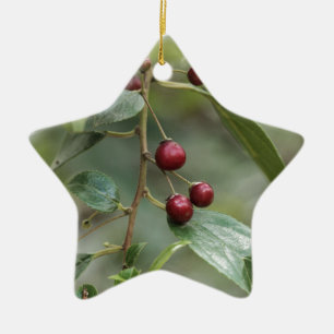 Fruits of a shiny leaf buckthorn ceramic tree decoration