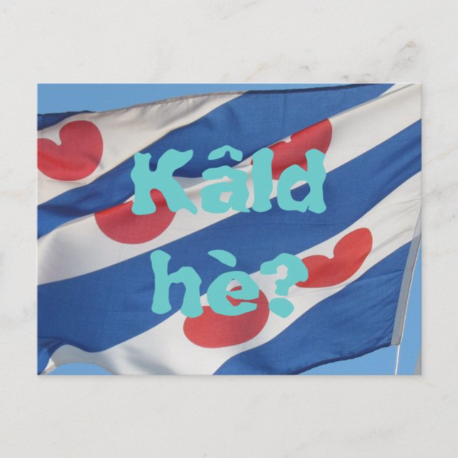 Fryslan Flag & Text Kâld hè? Postcard (Front)