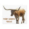 Ft Worth Longhorn Postcard