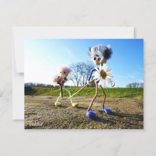 Fubbies in nature with daisy. postcard