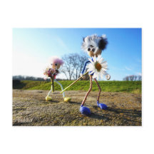 Fubbies in nature with daisy.