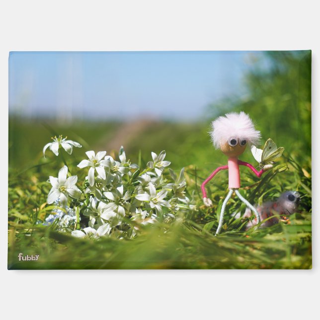 Fubby met Butterfly in a summer landscape. Magnet (Front)