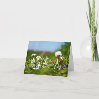 Fubby met Fluffy in a summer landscape. Thank You Card