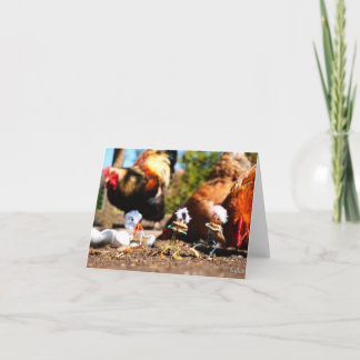 Fubby playing with the chickens and rooster. thank you card