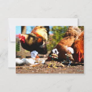 Fubby playing with the chickens and rooster. thank you card