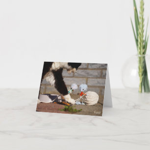 Fubby playing with their friend the cat. thank you card