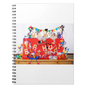 Fubby's celebrating for birthday. notebook