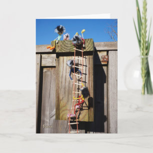 Fubby's climbing a birdhouse. card
