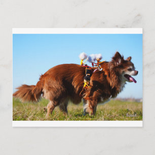 Fubby's riding their doggy friend like a horse. postcard