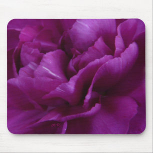 Fuchsia Carnation mousepad