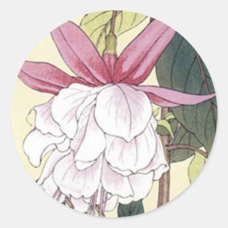 Fuchsia Classic Round Sticker