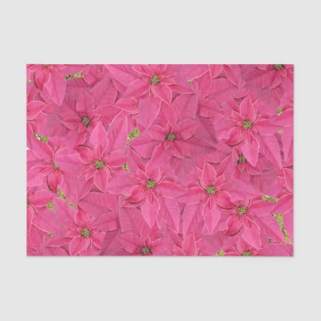 Fuchsia coloured poinsettias, floral pattern tissue paper (Front)