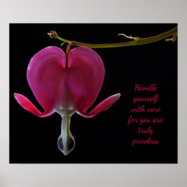 Fuchsia encouragement poster (Front)